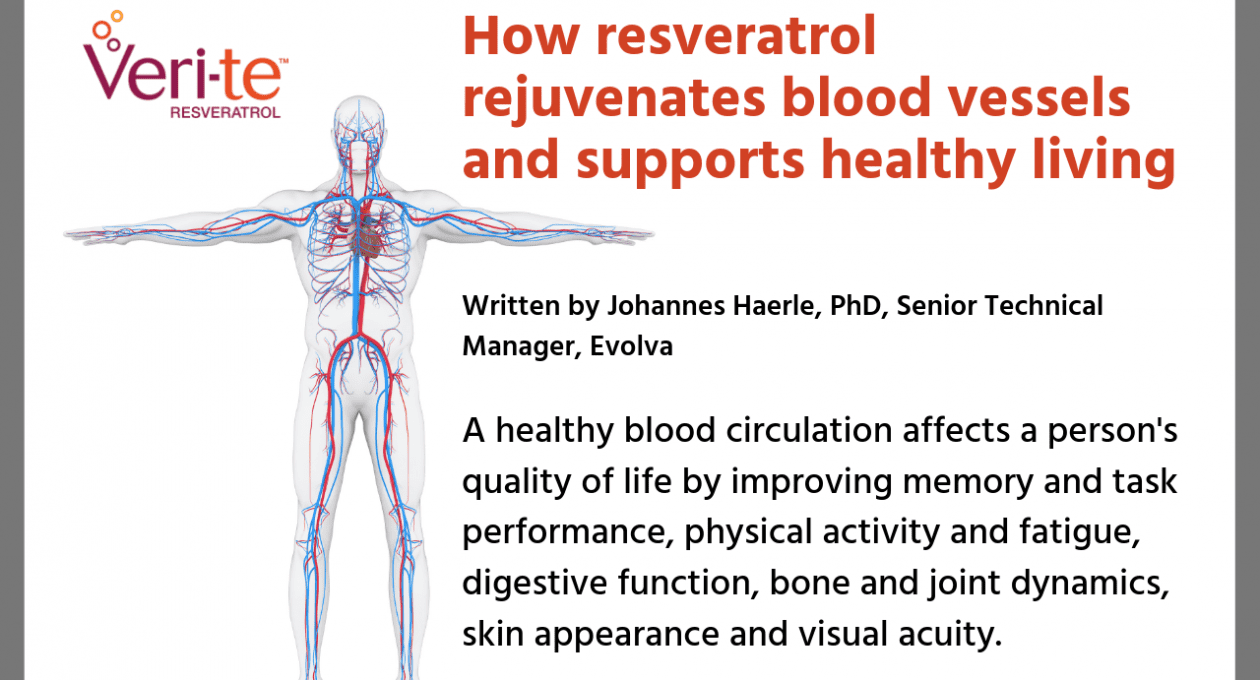 How resveratrol rejuvenates blood vessels and supports healthy living